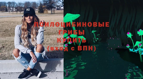 гашик Наволоки