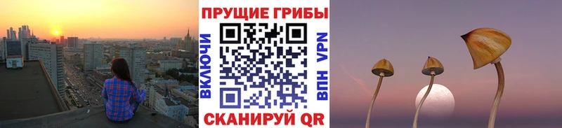 даркнет сайт Мышкин маркетплейс какой сайт Псилоцибиновые грибы мухоморы